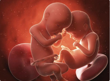 染色体异常可以做格鲁吉亚试管婴儿第三代试管婴儿吗
