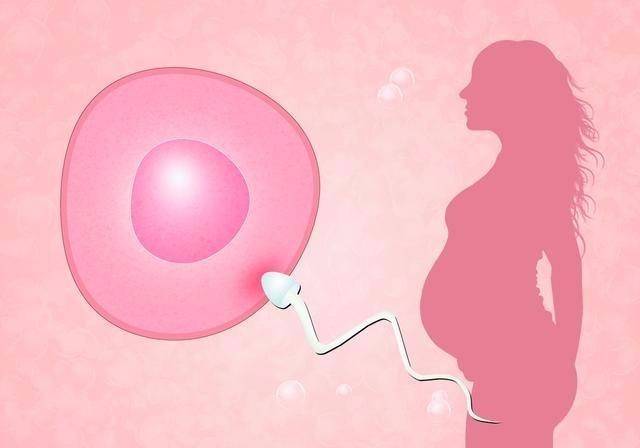 德宝欧洲医疗格鲁吉亚试管婴儿代孕成功率的影响因素