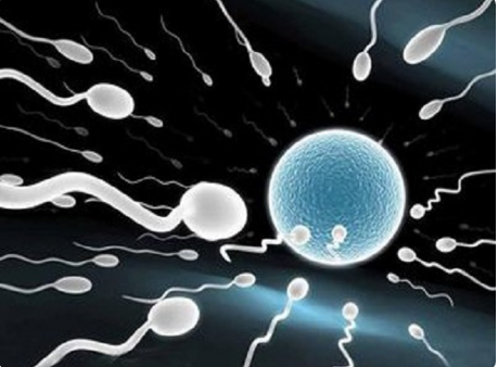 揭秘格鲁吉亚试管婴儿胚胎培养技术“内幕”